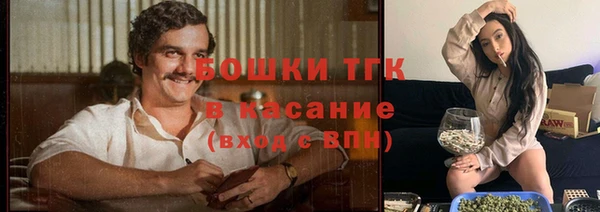 крисы Абаза