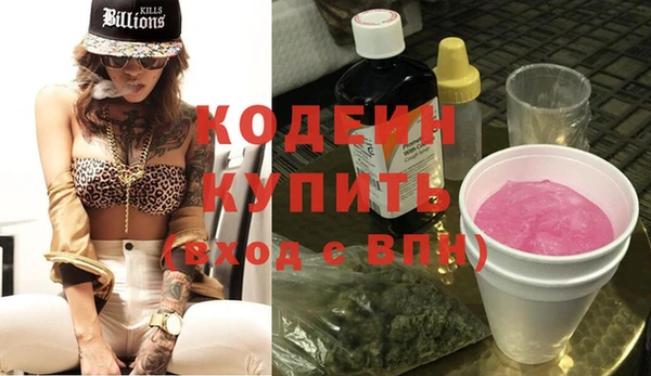 крисы Абаза