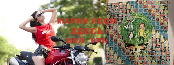 крисы Абаза