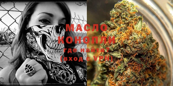 крисы Абаза