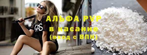 крисы Абаза